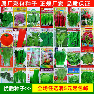 �ļ����߲˷N�Ӳ�ݮ�������Ѱײ��S������ѻ������̨�߹��N�ļ�