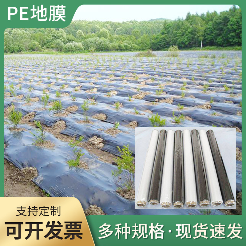 农用覆盖工程大棚地膜 室内外PE全新料塑料薄膜透明地膜批发