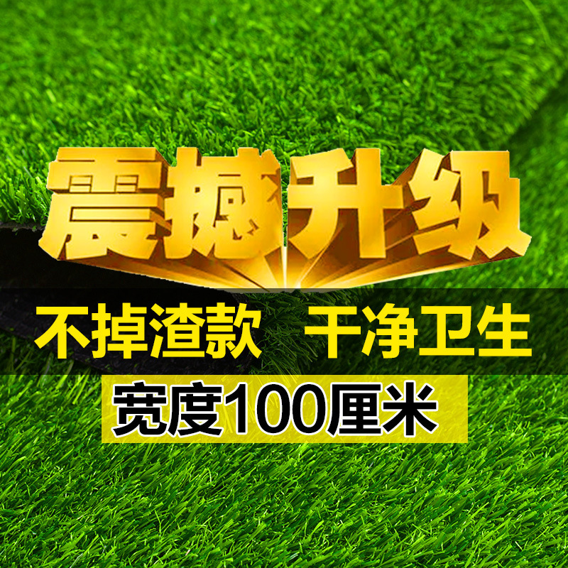 Dixuan 芝生カーペット人工人工芝グリーン屋外装飾フェイクグラスプラスチックマットバルコニー幼児|undefined