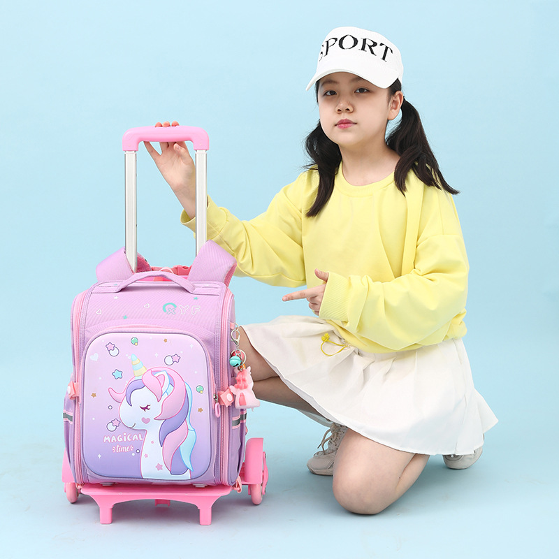 Suitcase, backpack, replacement sleeve, 2023 collection, wholesale