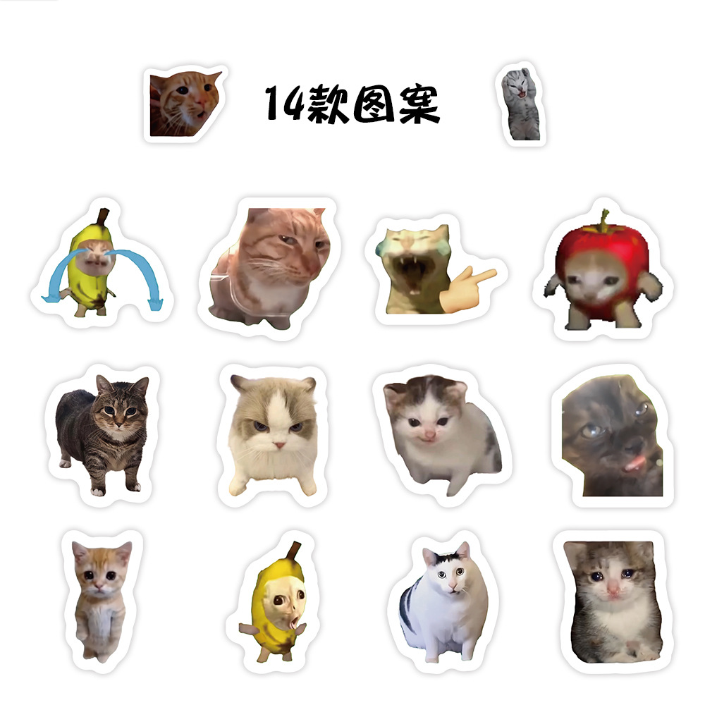 Bjt-1812 cat meme 14 special shapes
