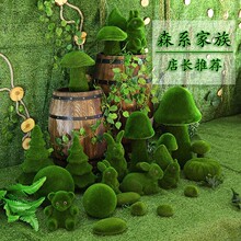 �¿�ɭϵ��Yӭ�e·������ֲ�q̦�\���������������Ģ��ʯ�^С¹