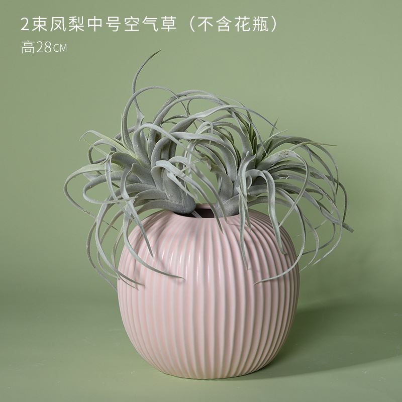 2 racimos de hierba de aire (sin jarrón)
