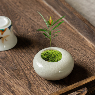 ���s��G�_�h�ɻ����մ�С�ڏ������п�͸������GֲС���Ԏ��бP