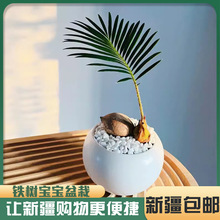 �½����]�F�䌚���K�F�ɐ�С�����k���҃���X����Gֲ������