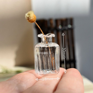 6��8��С��������DIY�ķ��l�y��߅������͸��������ƿ�[�ĵ�����