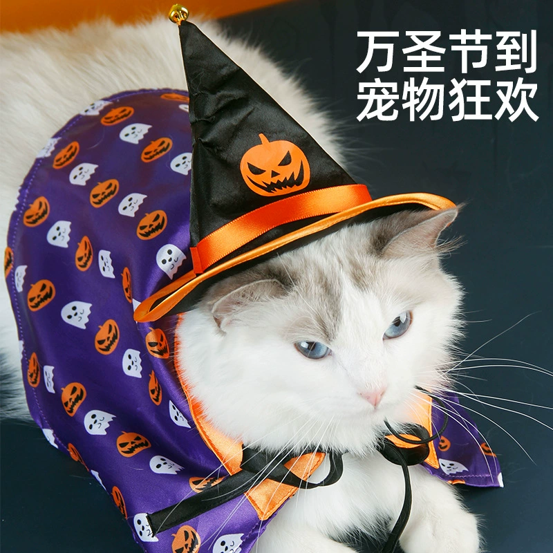 Pet Party украшения поставки волшебник шляпа анти-офф веревка Хэллоуин Тыква Фестиваль Забавный фиолетовый плащ костюм
