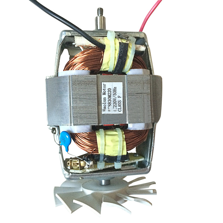 串激电机 8830榨汁机冰淇淋机搅拌机绞肉机小吸尘器微型马达厂家