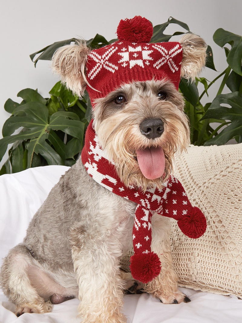 Natal novo cão de estimação malha bonito quente bola de pelo floco de neve triângulo xadrez multi cor cachecol chapéu conjunto_voghion.com