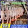 屠宰专业宰杀自动化机械