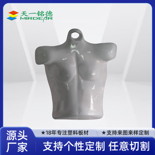 Blister Processing Half-Length Female Model Plastic Products Thick Plate Blister Women's Half-Length Model Specifications Can Be Customized