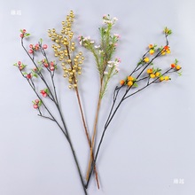 �[�P�b�����˲�Ʒ�c�Y�����b�Ʒ�[���Ƶ�P��b�߅����