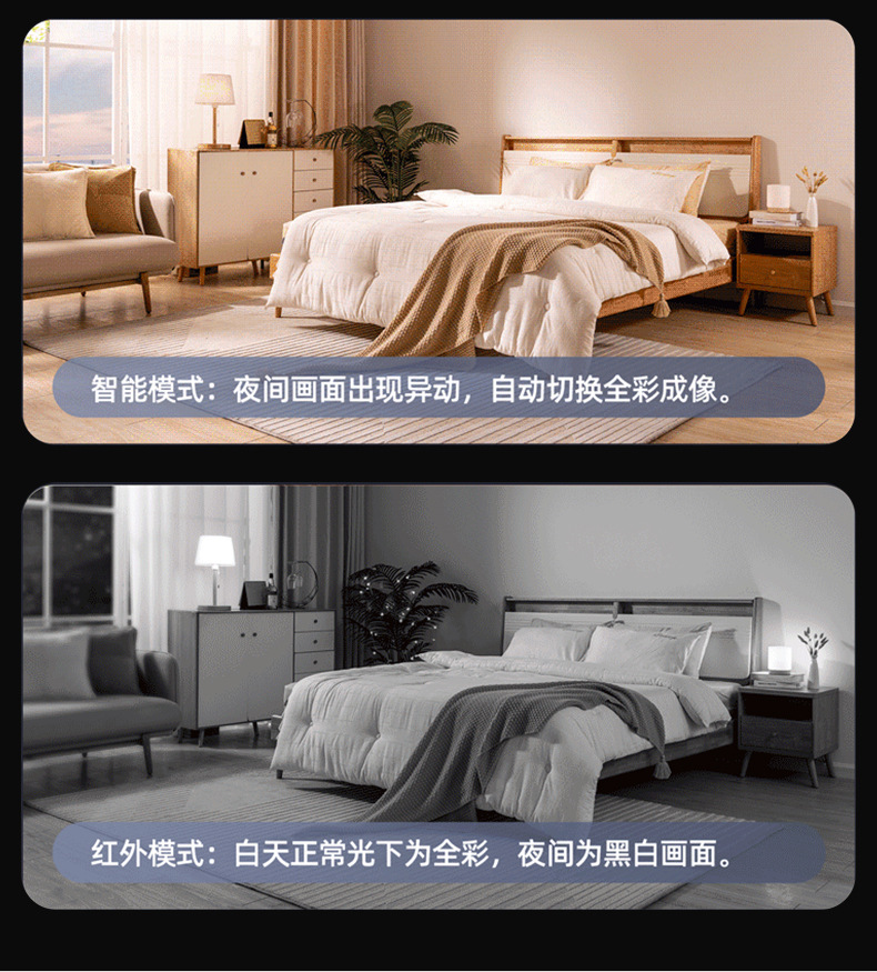 猫咪详情更改_9`10_10