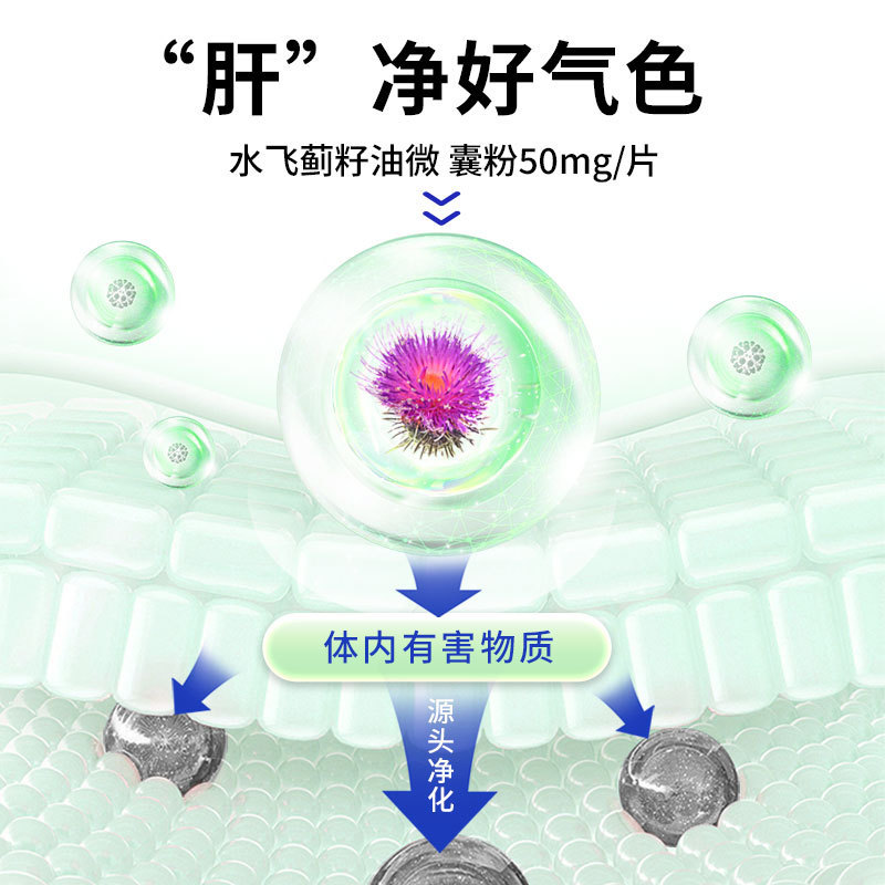 厂家直供 水飞蓟籽油人参夜肝片水飞蓟姜黄加班熬夜喝酒肝片60片|undefined