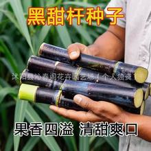 ��U��̷N�ӱ�������N�Ӹ����N�Ӹ��Ƕ�����֭���ˮ���N��