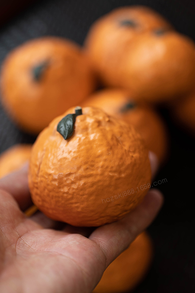 大橘大利20220531 (19).jpg