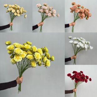 ����5�^õ�� ��õ ��c�������Ļ�Y�� �����廨·���b�ˇ���l