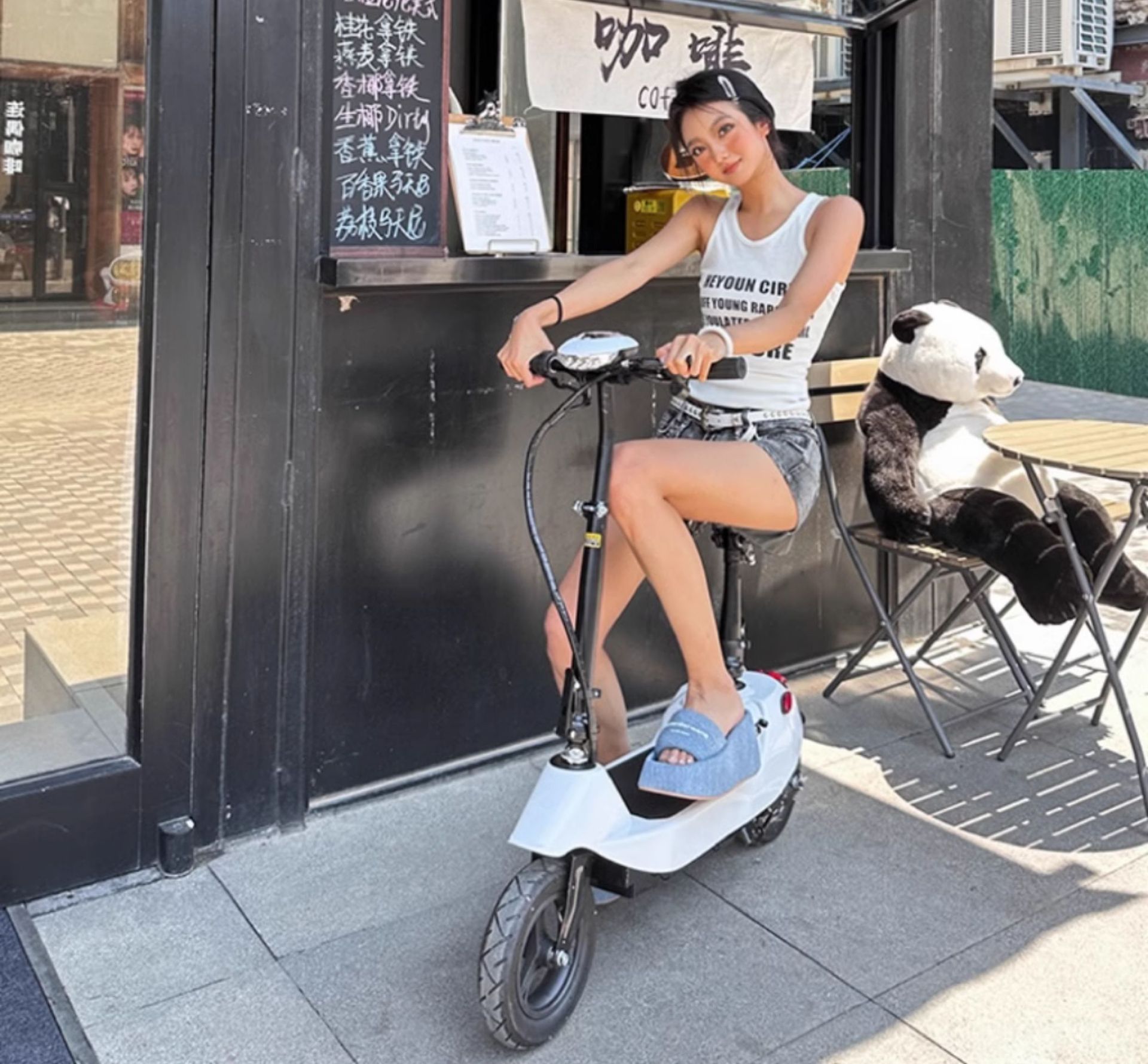 Suitable for Electric Scooters, Adult Work Scooters, Mini Electric Scooters for Girls, Foldable Dolphin Batteries