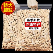打手瓜子2024新货原味瓜子大颗粒古法多味葵花籽休闲小吃零食炒货