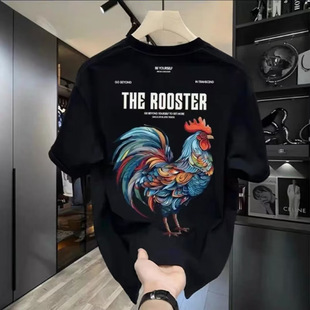2024�����b�ļ������Ї������﹫�uӡ���ٴ�T�����e����A�I��ͨ