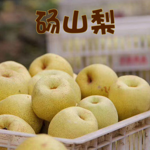 Spot Anhui Sushan Pear Emperor 3/9 Catties of Fresh Season, сладкая, сочная, сочная, ранняя созревая, сладкая груша не -кухонская хрустящая груша