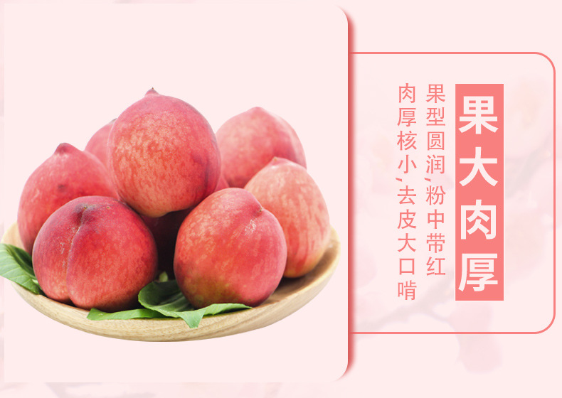 陕西水蜜桃详情_05.jpg