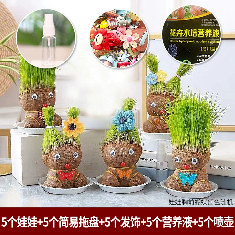 [批发草头娃娃浇水头上长草人绿植长头发儿童好养种草幼儿园桌面小]