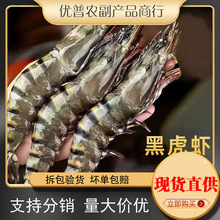 �ڻ��r�������r���r�ϻ��r�r���ϻ��r�ك����r��Ź��r�������l