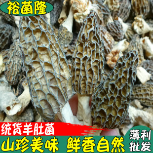 ��ԣ��¡������Ǿ��y؛ ��Ȼ��С�a�ع��I����Ǿ���؛���l�r��