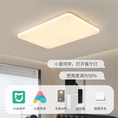 Living Room Main Lamp Modern Minimalist Atmospheric Zhongshan Lighting Ultra-Slim Eye-Care Whole House Suite Room Bedroom Ceiling Lamp