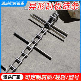 厂家批发大滚珠链条刮板链条不锈钢链条碳钢输送链条异形链条