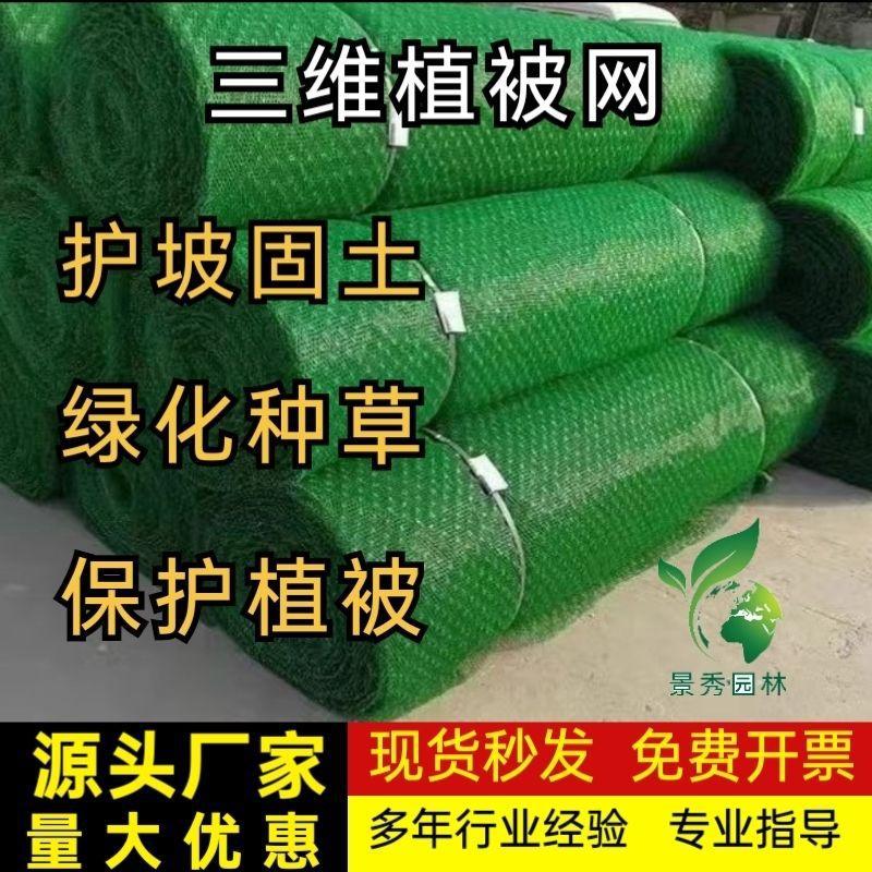 三维植被网三维网植草网护坡固土网三维土工网垫边坡网园林绿化网