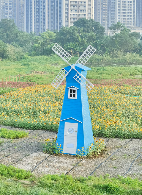 图片_20231106144526