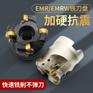 50R5�A��㊵��P63R6�w���PEMR���PTRS/EMRW R50/R63/R80/100/125