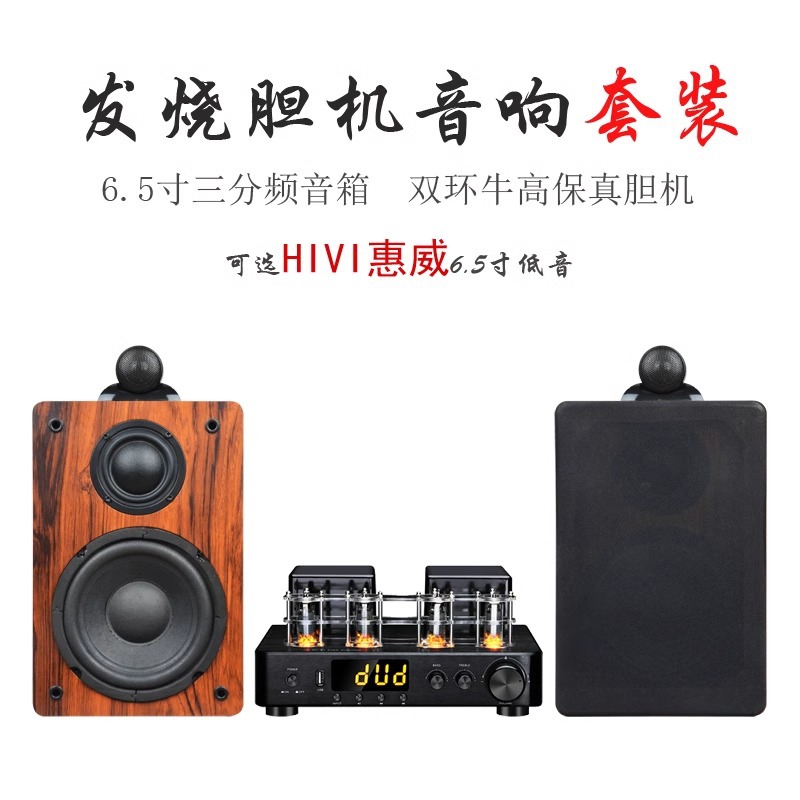 惠威喇叭T-6301胆机音响套装6.5寸三分频无源发烧音箱牛胆机