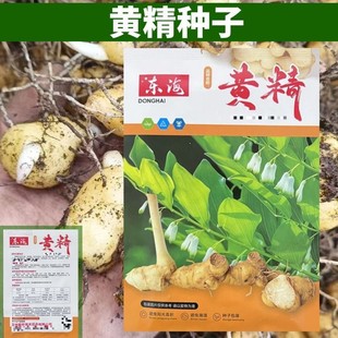 �S���N���uצ���ϻ����N���S���ѽ��Ͷ������ݱ�