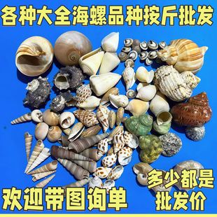 ���N�������l�����~��΢���^Ư��ƿ������к��b��ֹ�diy����