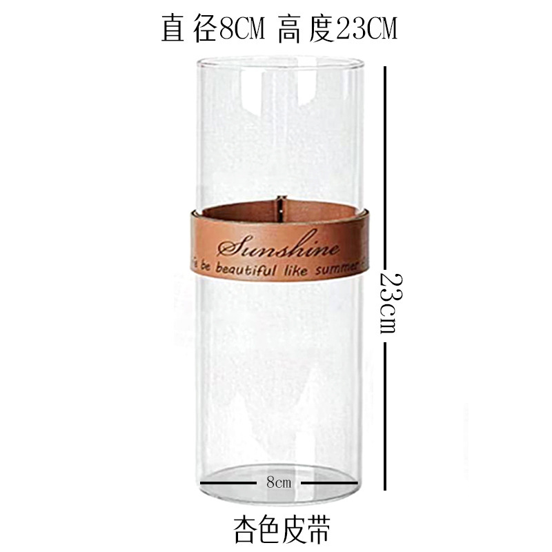 創意皮革手提げガラス生態花瓶杯微景観水培植物花器乾花工芸創意家庭|undefined