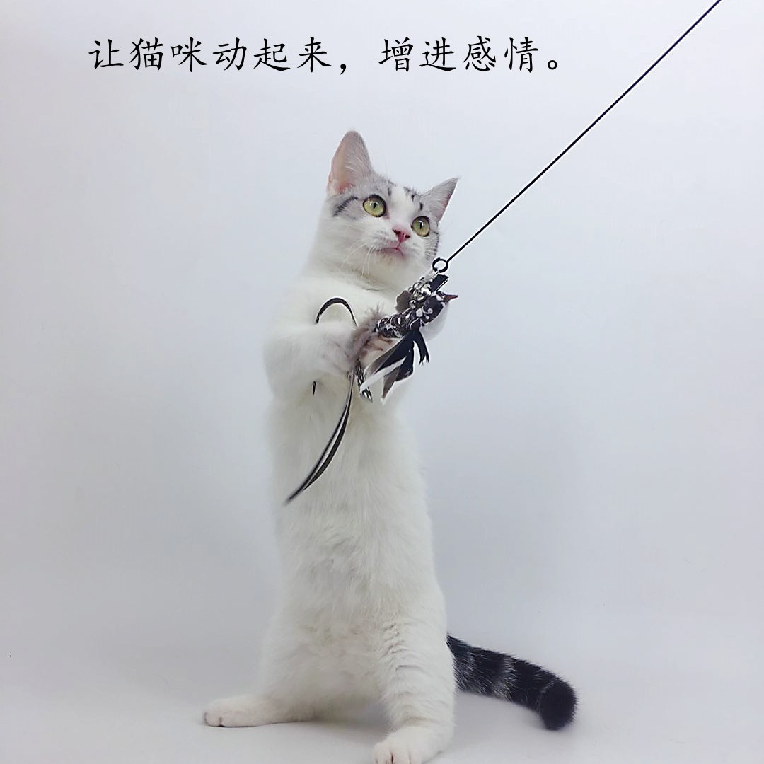 Xingzhi gato pájaro chupando gato alambre de acero varilla larga divertido gato palo con campana mordedura reemplazable succión rápida gato juguete