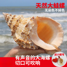 �����ݴ��ݚ�ؐ�����l�b[̨�~���쾰��ʯ��̖ؐ������ؐ��