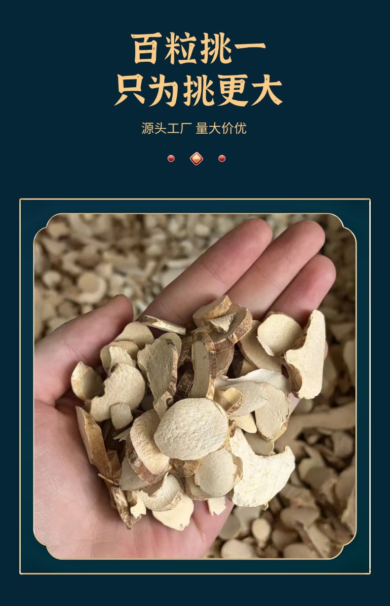 Sichuan Dragon Bone Fossilized Bone Pieces Traditional Chinese Herb for Cooking and Decoction 500g quality and texture