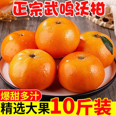 Guangxi Wuming Royal 10 fresh fruit Orange Pellicle Orange 10 Emperor Gongjie wholesale