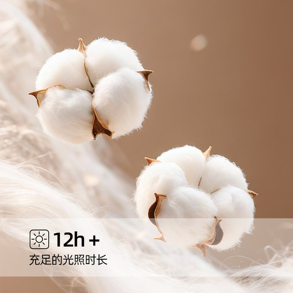 Gauze cotton scarf