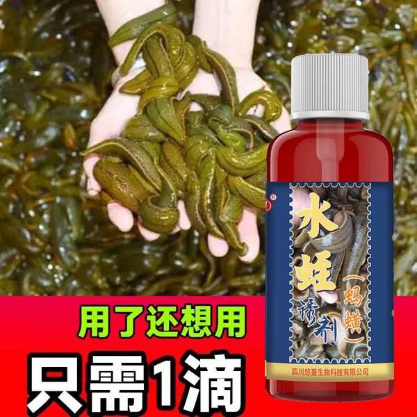 Gushu Perfume Leech Bait Fishing Outdoor Wild Fishing Black Pit Loach Eel Lake River Shrimp Fish Bait Bait