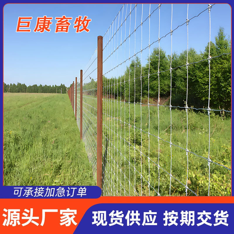 圈地牛羊养殖场果园铁丝围栏网草原牧场牛栏网镀锌防腐镀锌铁丝网