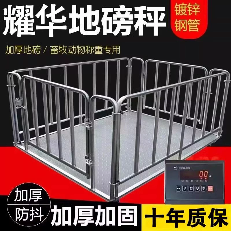 Электронные напольные весы, небольшие электронные напольные весы, электронные напольные весы, дисплей, мобильные электронные напольные весы, датчик электрических напольных весов