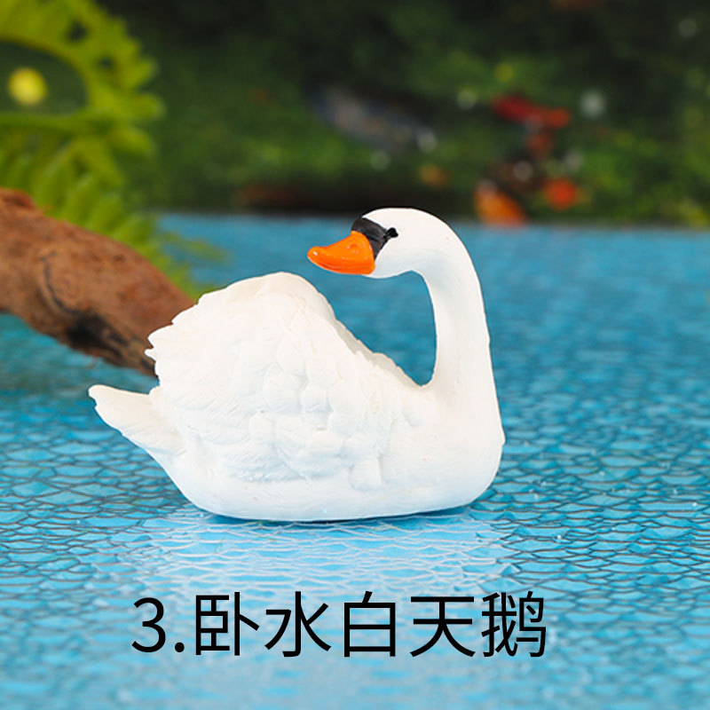 거짓말 물 화이트 스완