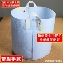 �޷Ĳ�ֲ��������������ֲ���Ӻ�ëձ����Ͱ��̨��ֲ���羳�����