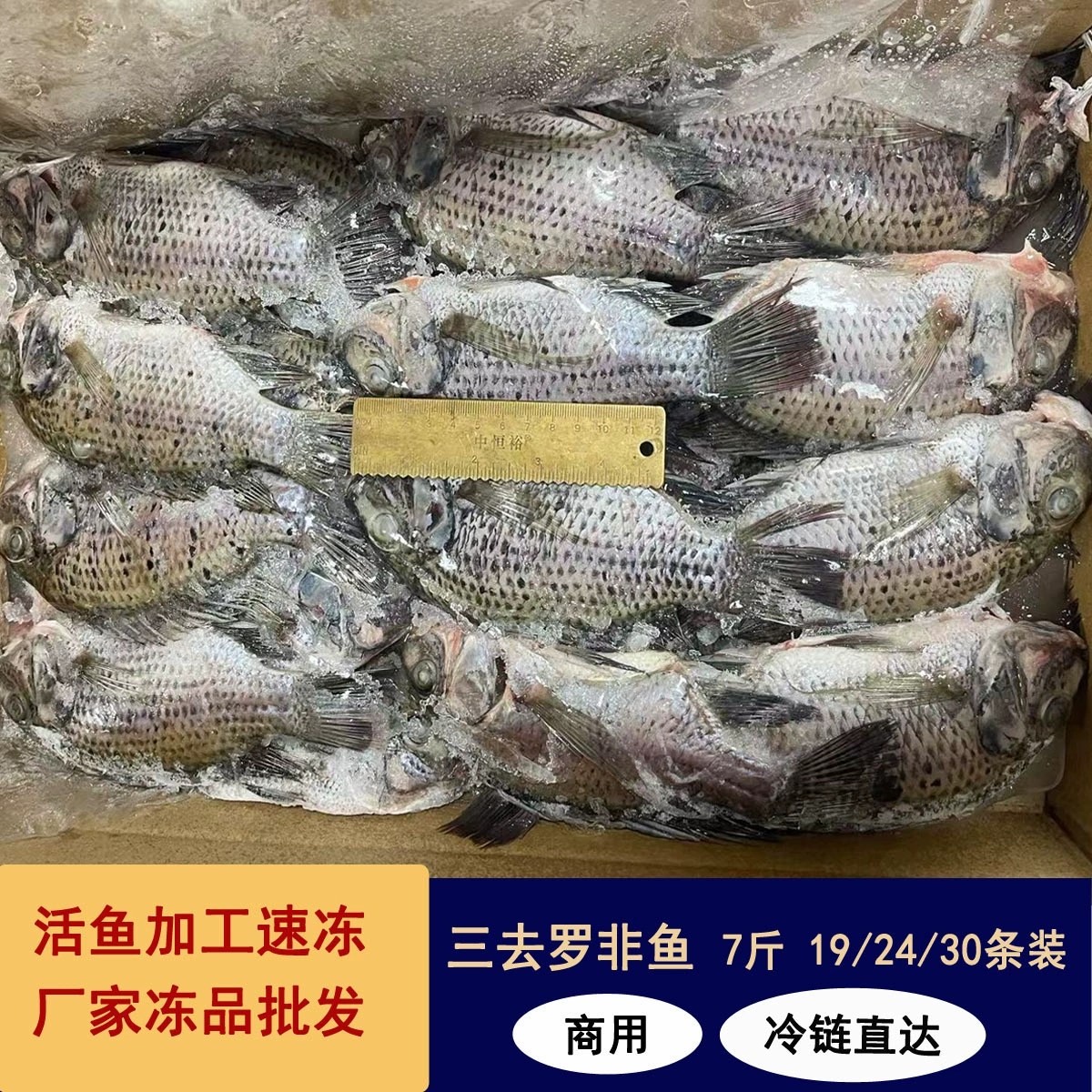 Свежая быстрозамороженная тилапия, 3.5kg упаковок, общественное питание, отель, барбекю, коммерческие замороженные водные продукты, оптовая продажа
