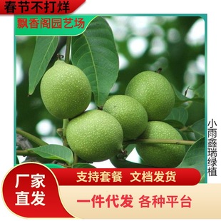 һ�����l���Ҙ���޽ӱ���Ƥ������Ҙ������ϱ����Nֲ�ش������